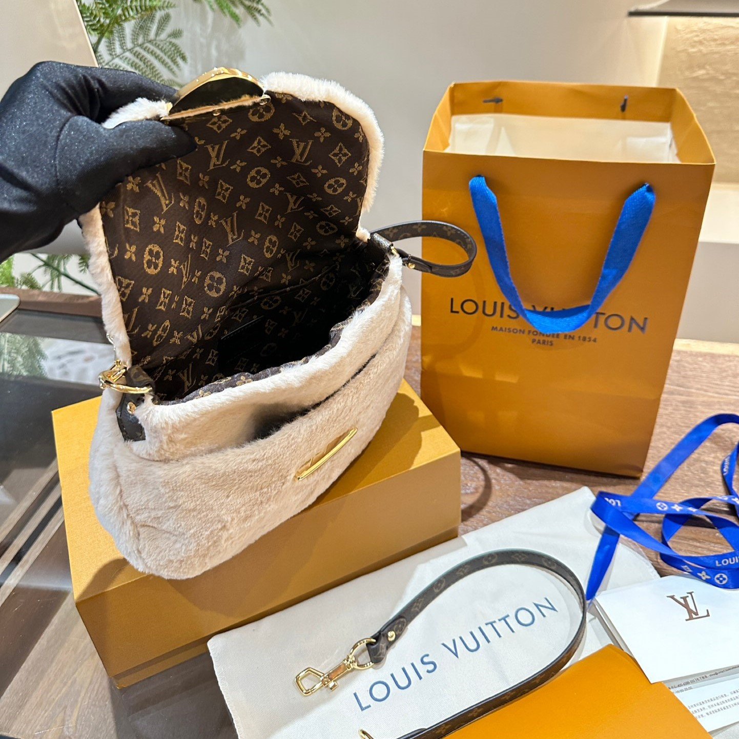 lv-ski-bag-7.jpg